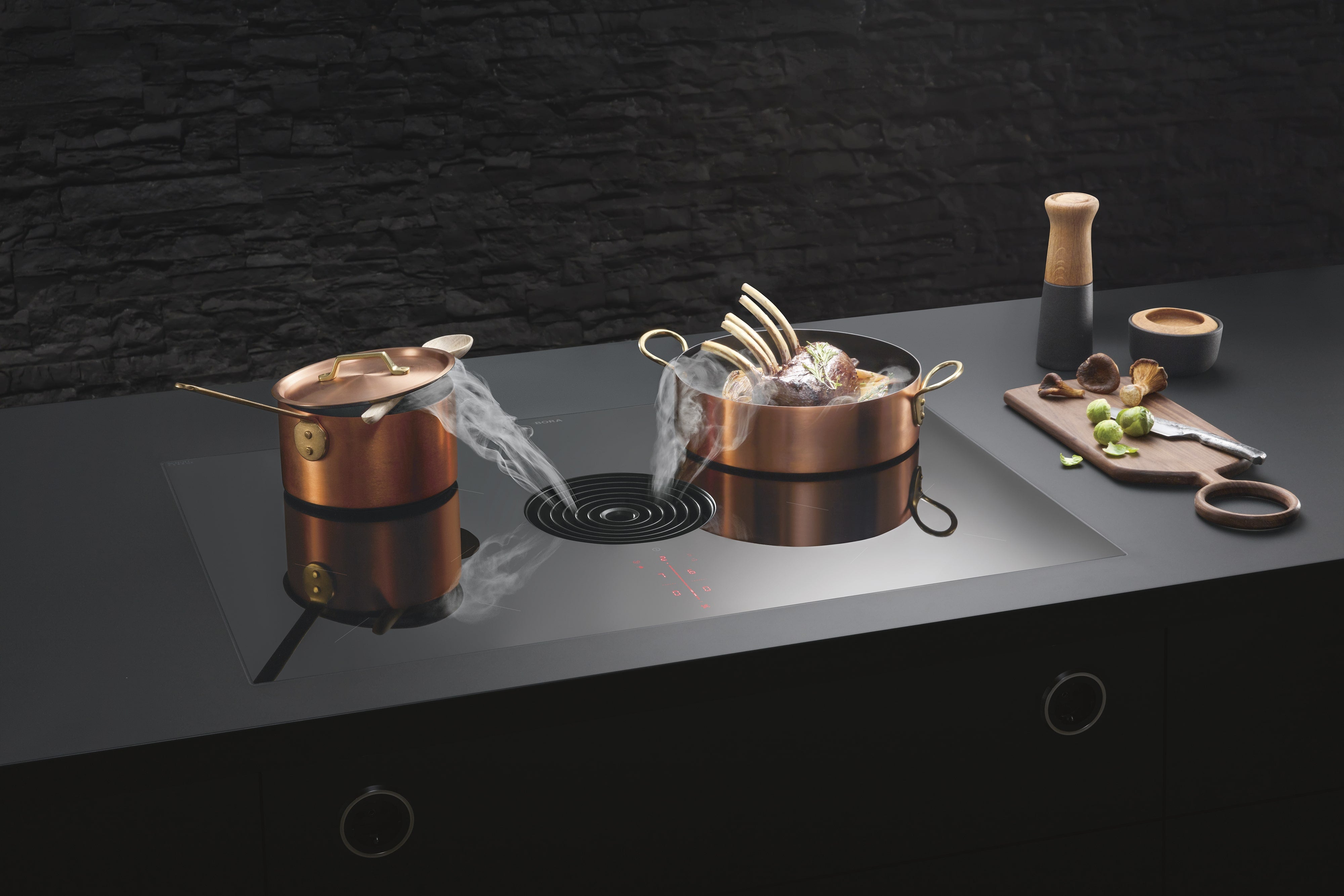 PURE - Table de cuisson induction avec dispositif aspirant (version recyclage)