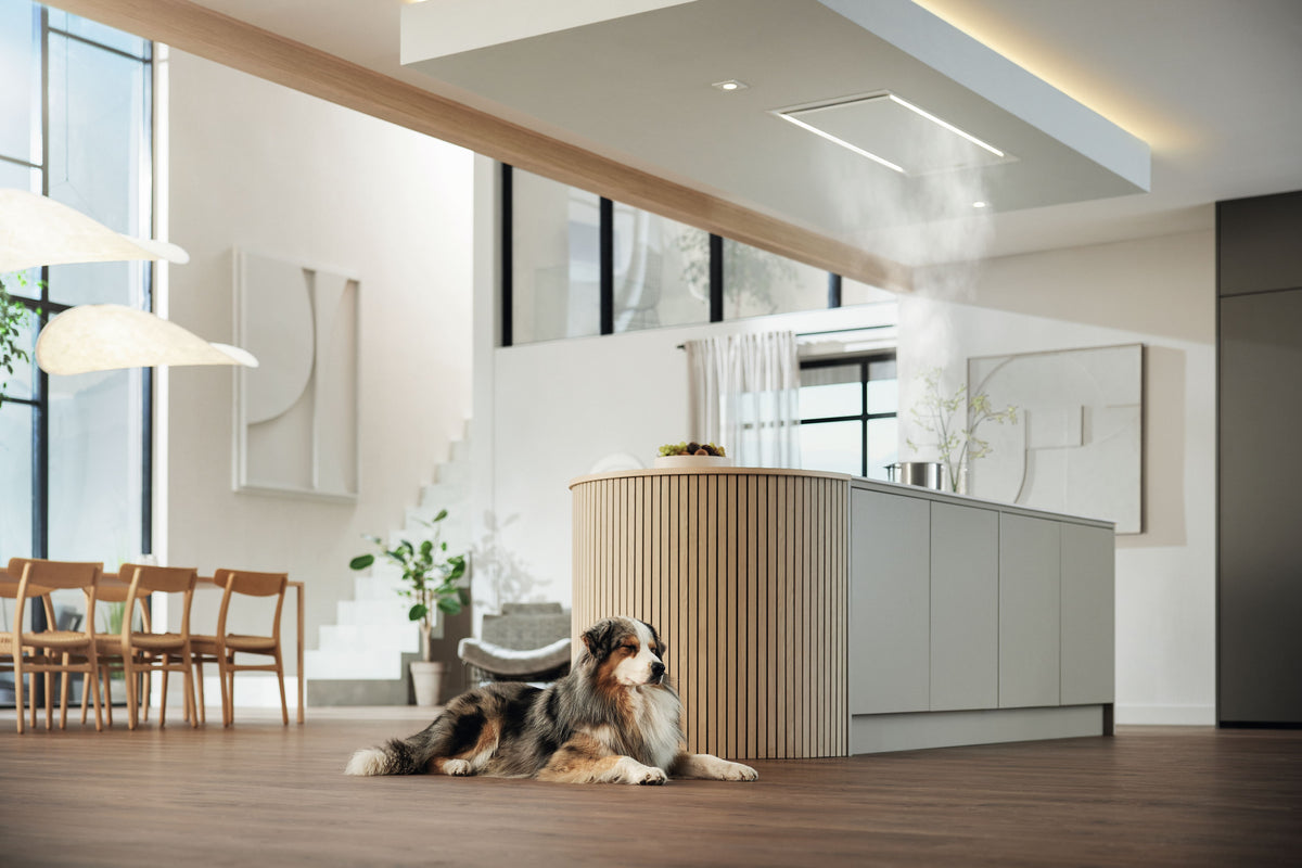 Cuisine ouverte lumineuse équipée d’une hotte Miele, illustration du Pack Silence